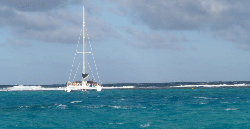 sailboat grand cayman